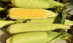 Canjica Cremosa: A Sobremesa Junina Mais Aconchegante